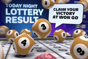 Today Night Lottery Result